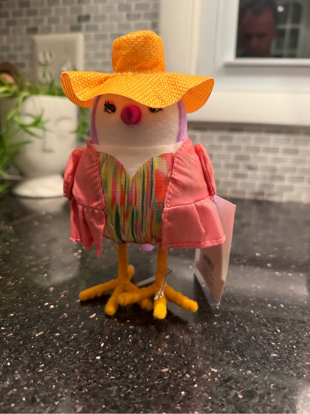 Target Featherly Friends Beach Pride Bird 2024 NWT